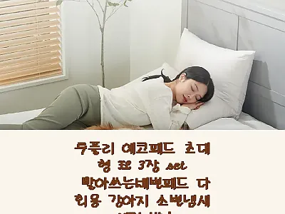 루플리 에코패드 초대형 XL 3장 세 관련 이미지 1